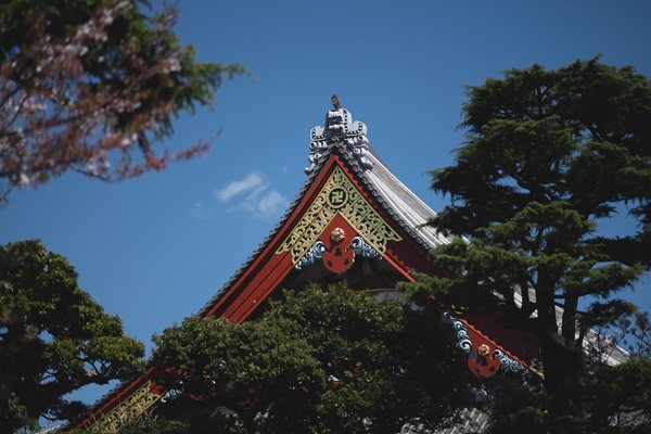 센소지 현장 사진 2