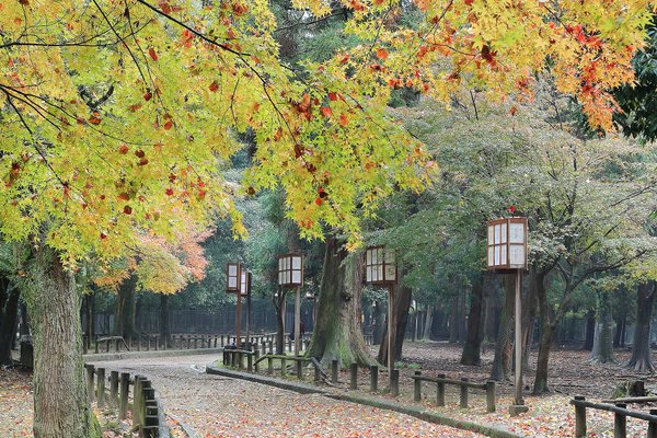 나라 공원